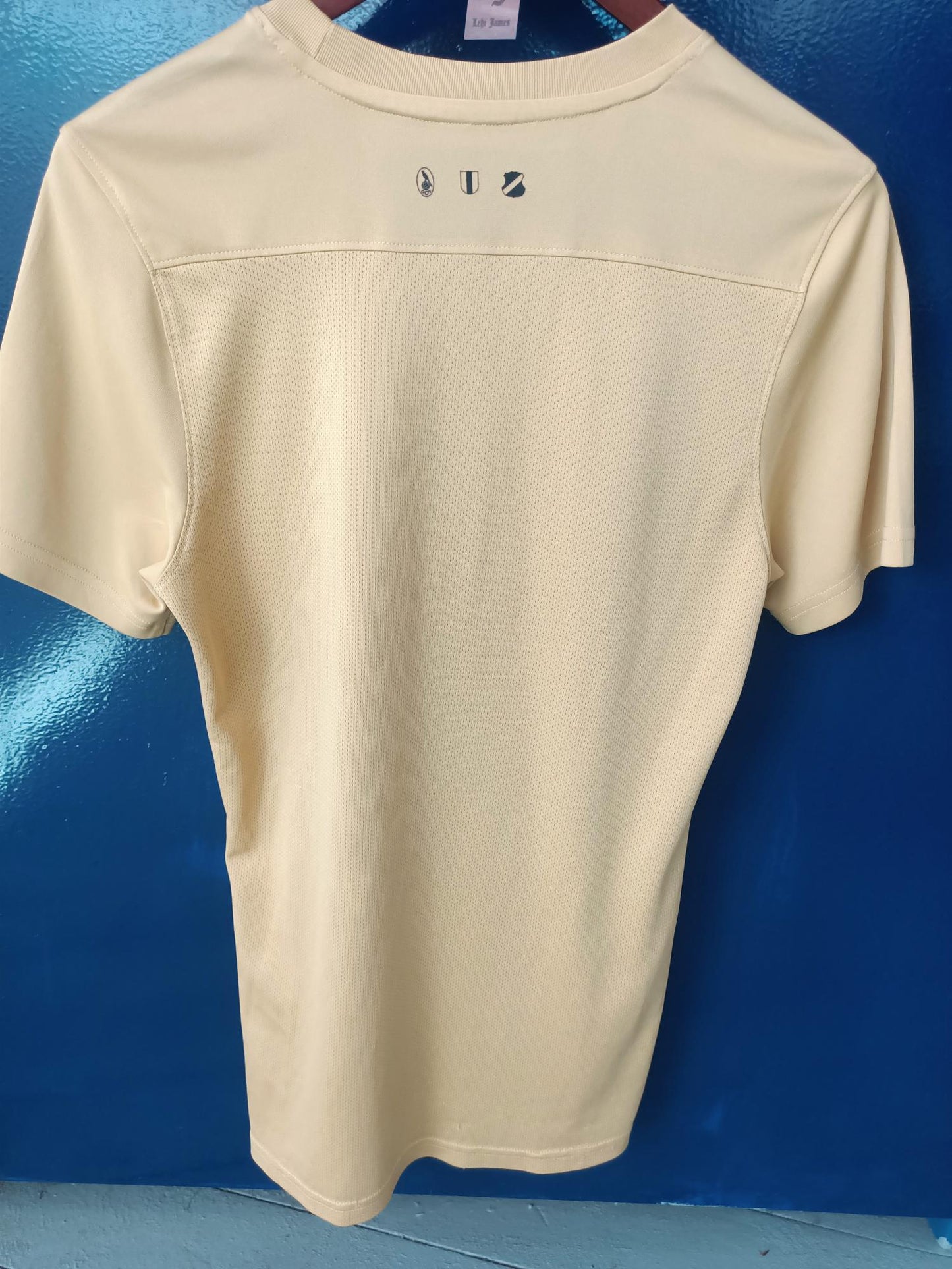 FC Utrecht 2021-2022 Third Shirt
