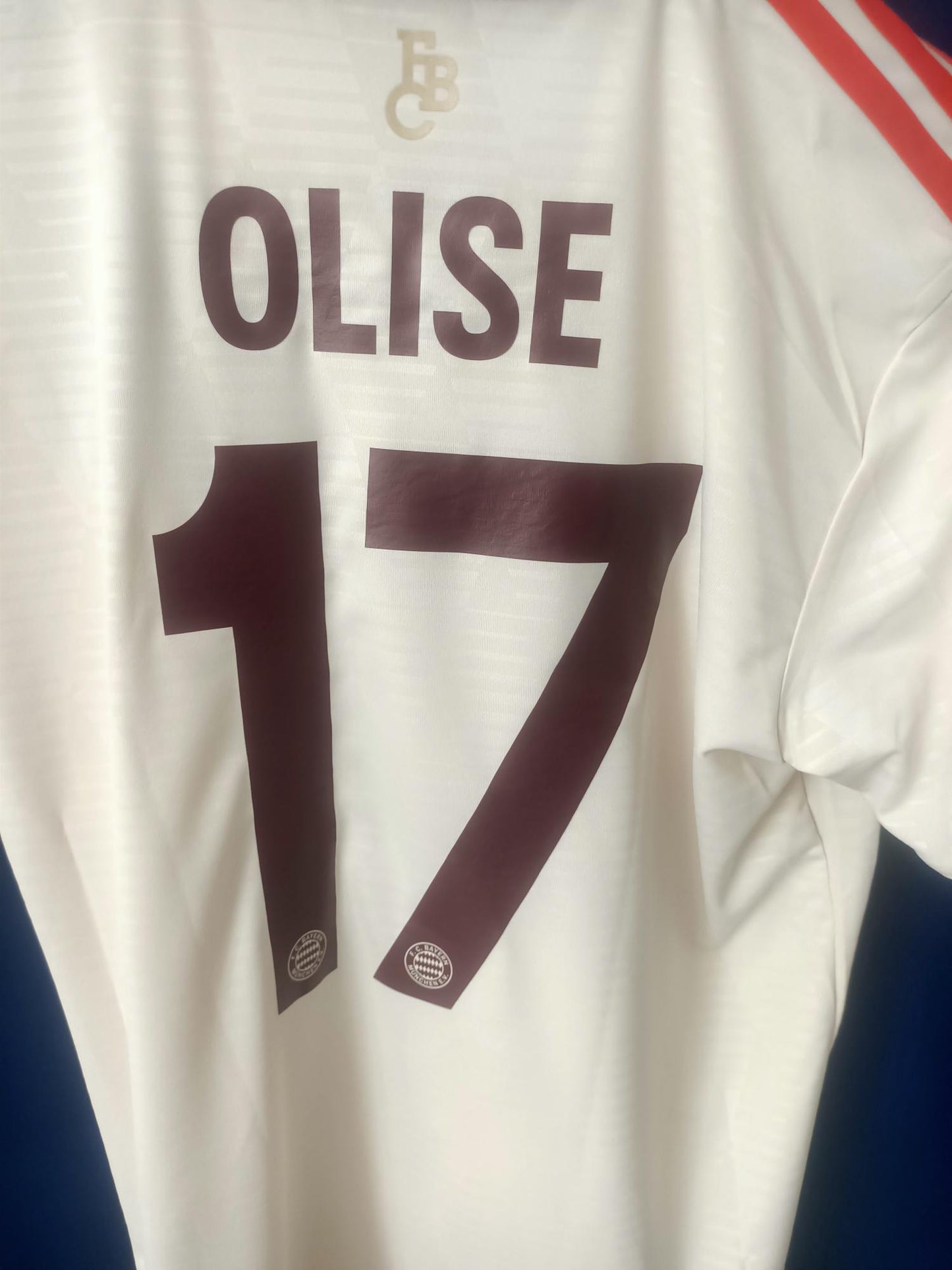 Bayern München 2024-2025 Third Shirt BNWT