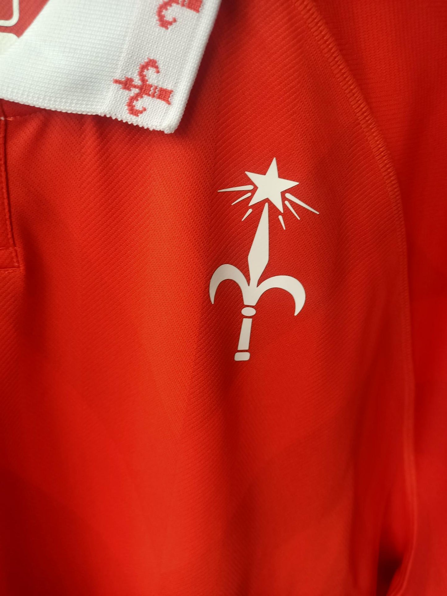 US Triestina 2024-2025 Home Shirt BNWT
