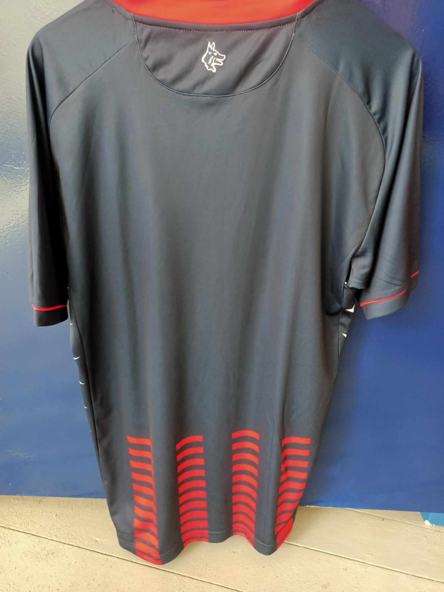 Cosenza 2019-2020 Third shirt