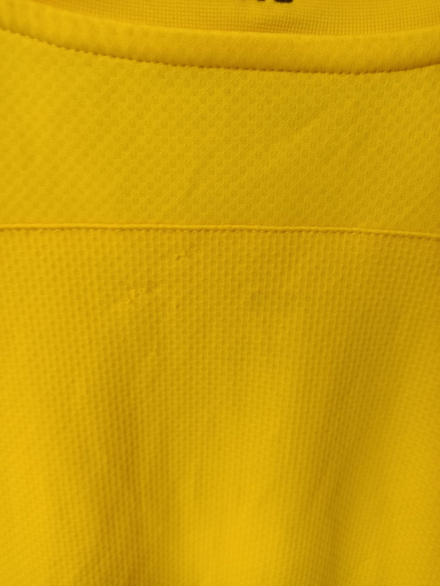 Borussia Dortmund 2020-2021 Home Shirt (Small)