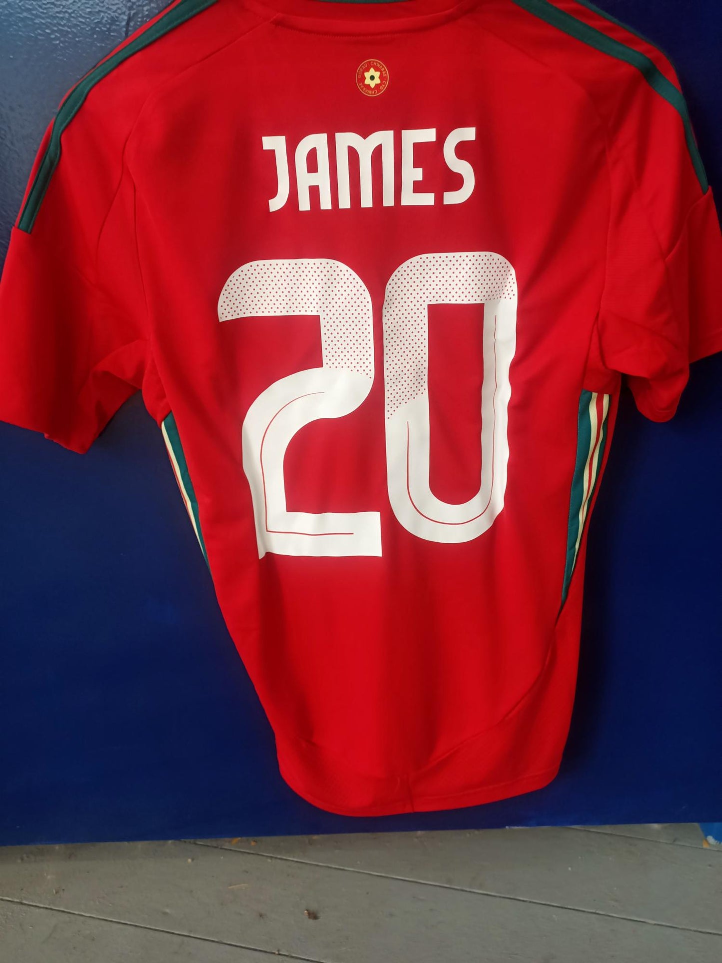 Wales 2024 Home Shirt (James)