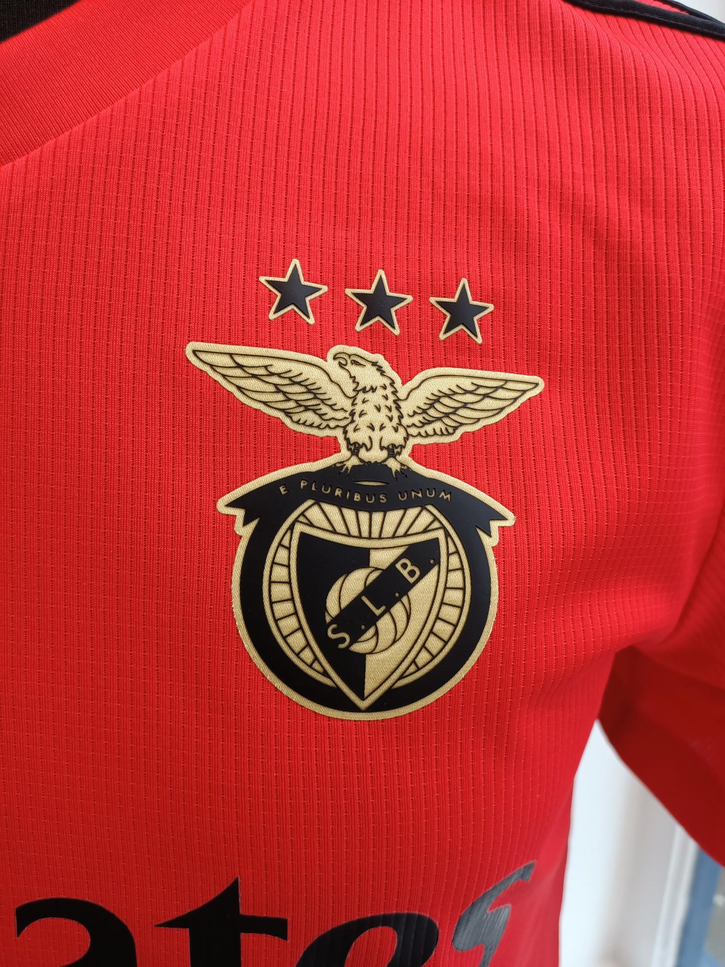 Benfica 2020/2021 Home shirt Used