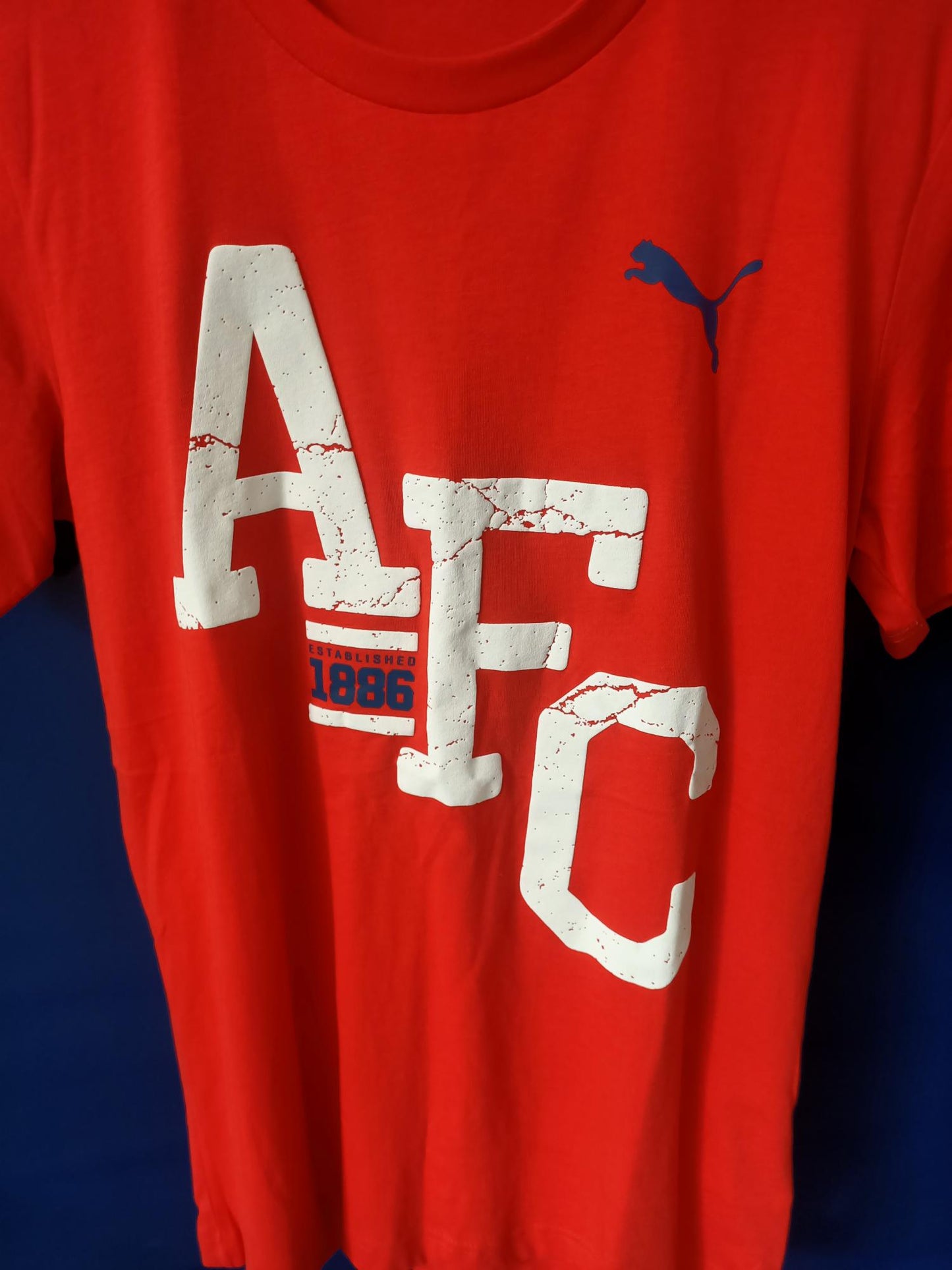 Arsenal T-shirt BNWT (Small)
