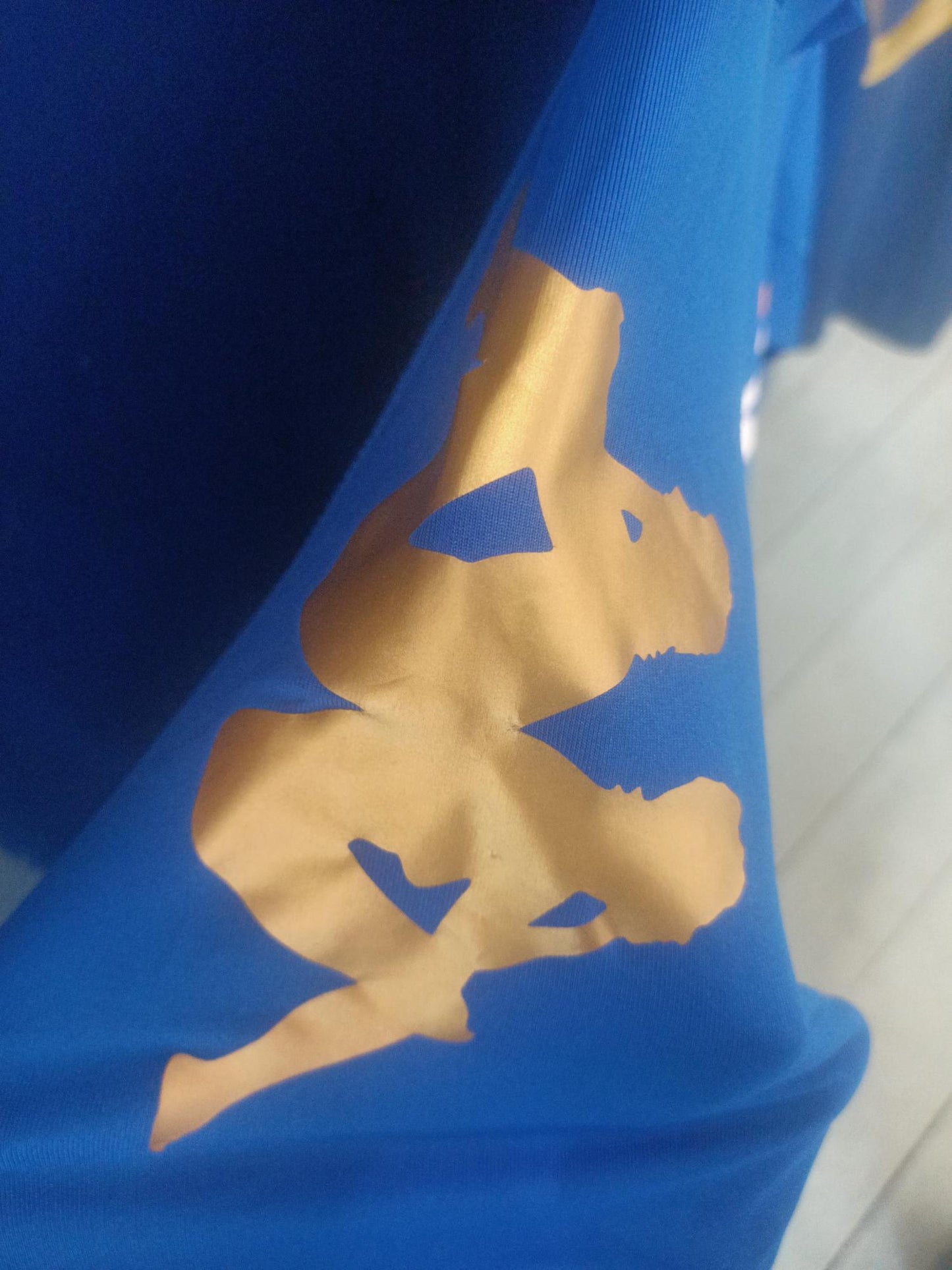 Portsmouth 2011-2012 Home Shirt