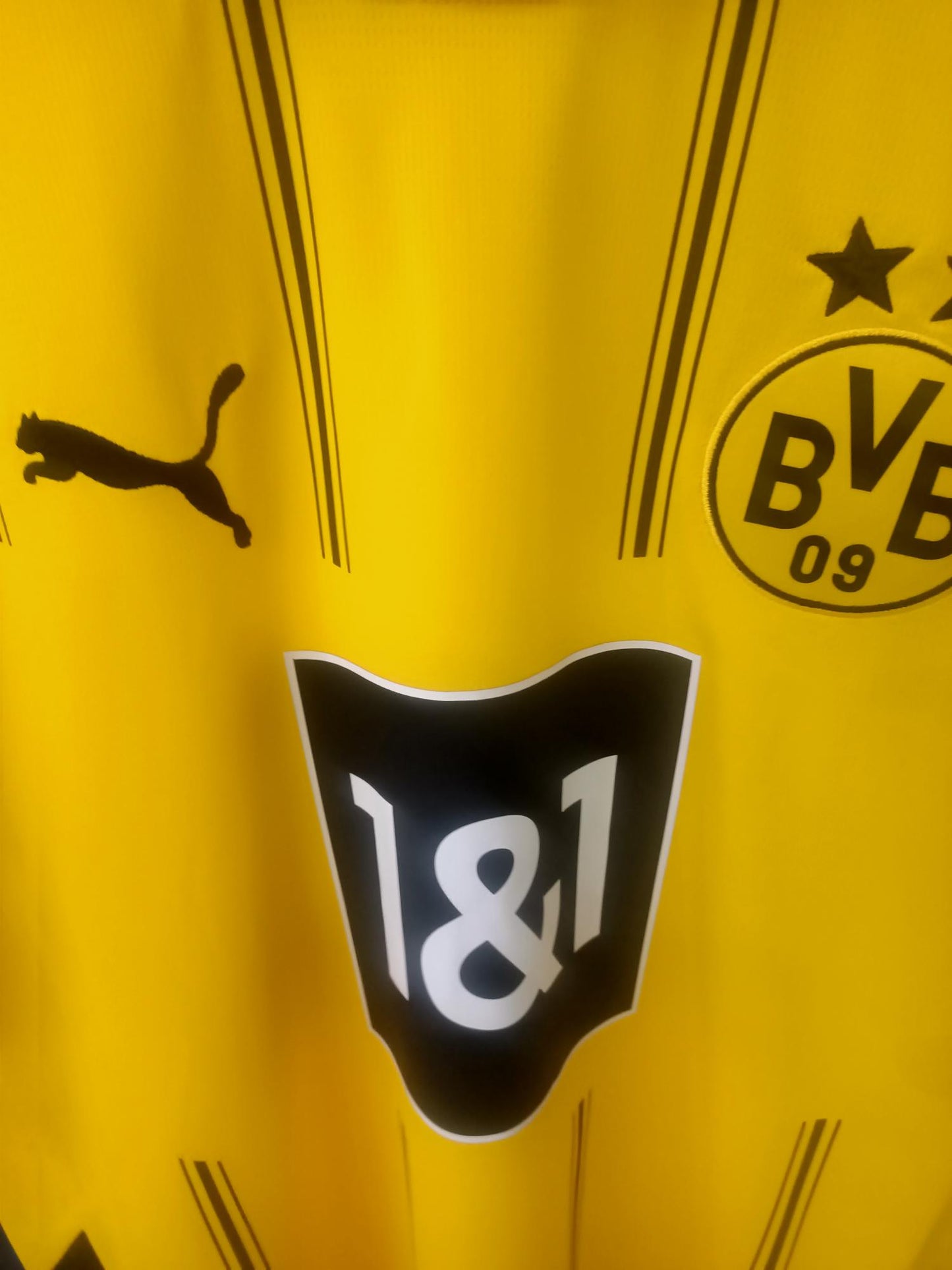 Borussia Dortmund 2024-2025 Home Shirt BNWT