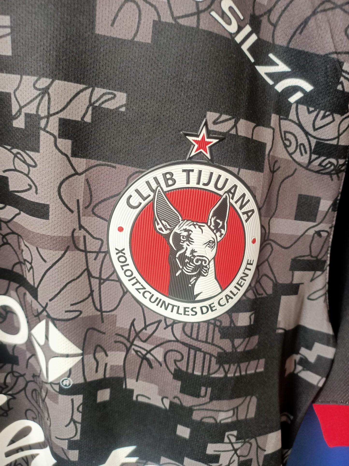 Club Tijuana 2020-2021 Home shirt (small)