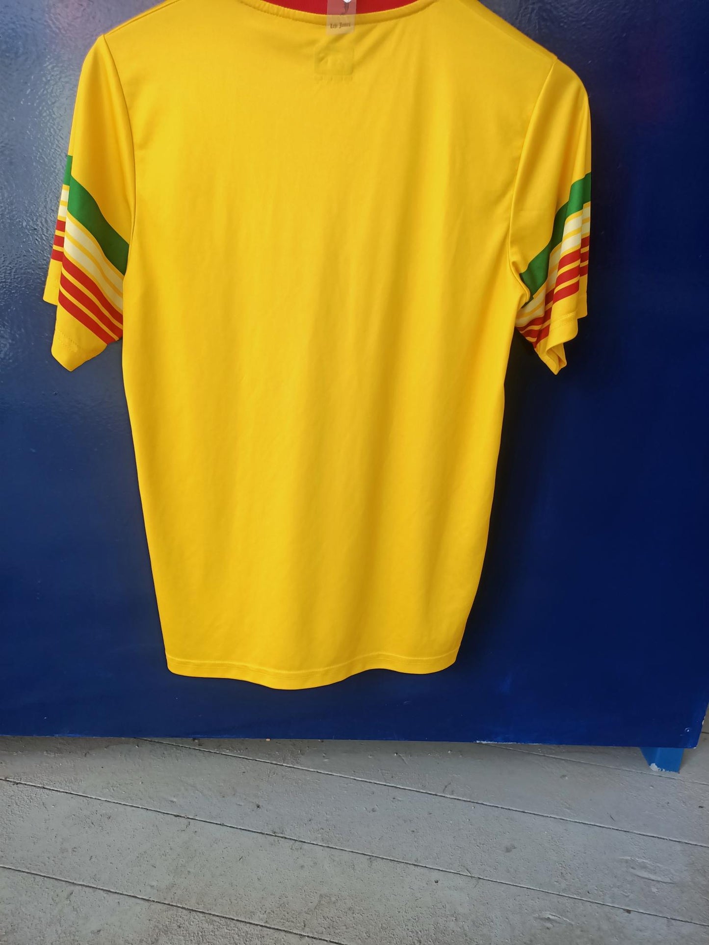 Mali 2017 African Cup of Nations shirt Home (Small)