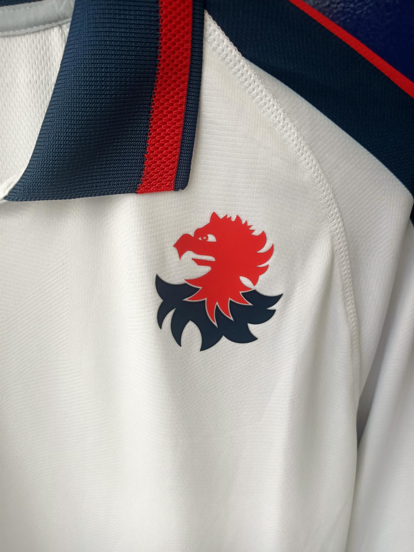 Genoa 2024-2025 away shirt (Medium)