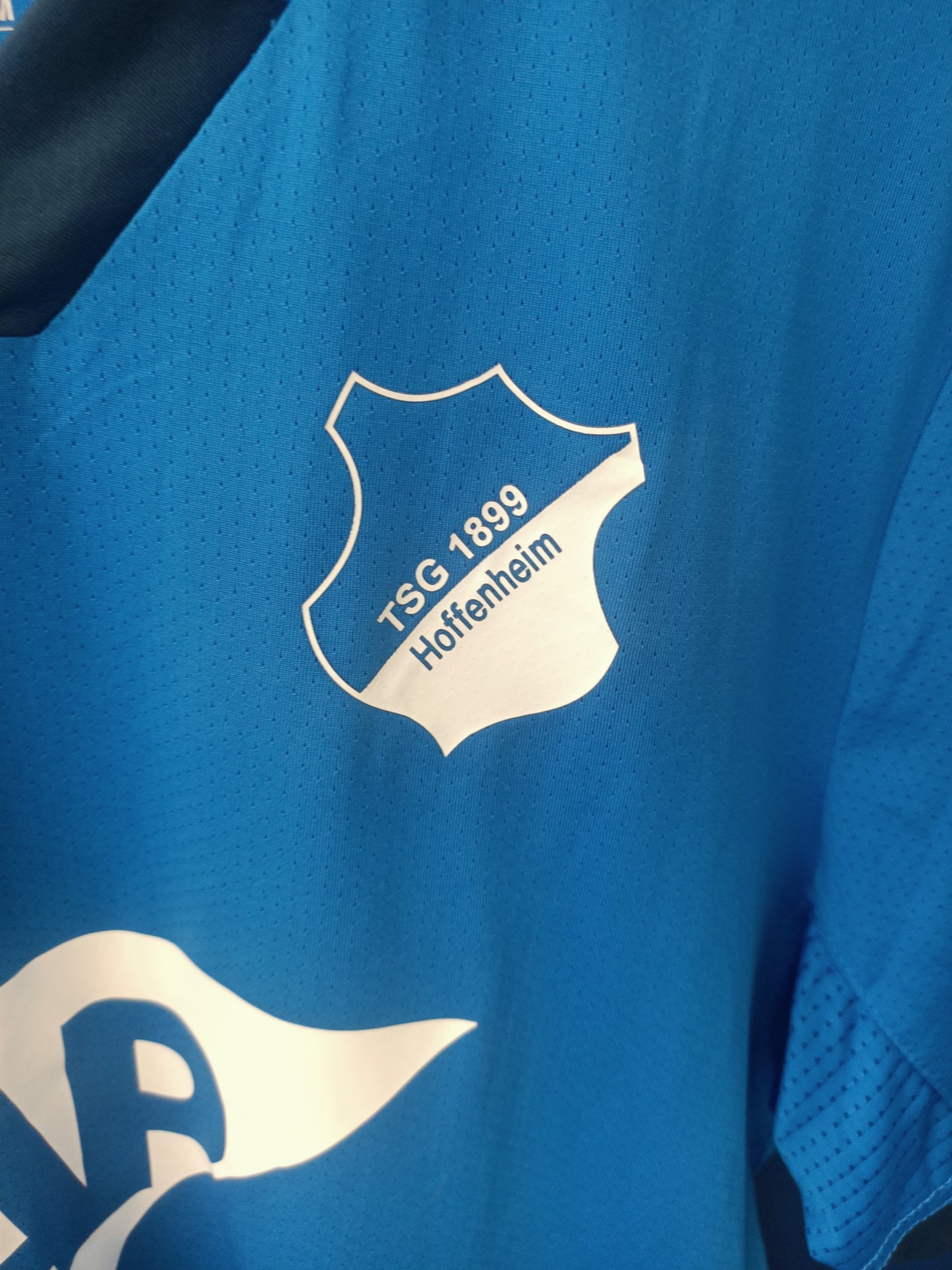 TSG 1899 Hoffenheim 2020-2021 Home (Medium)
