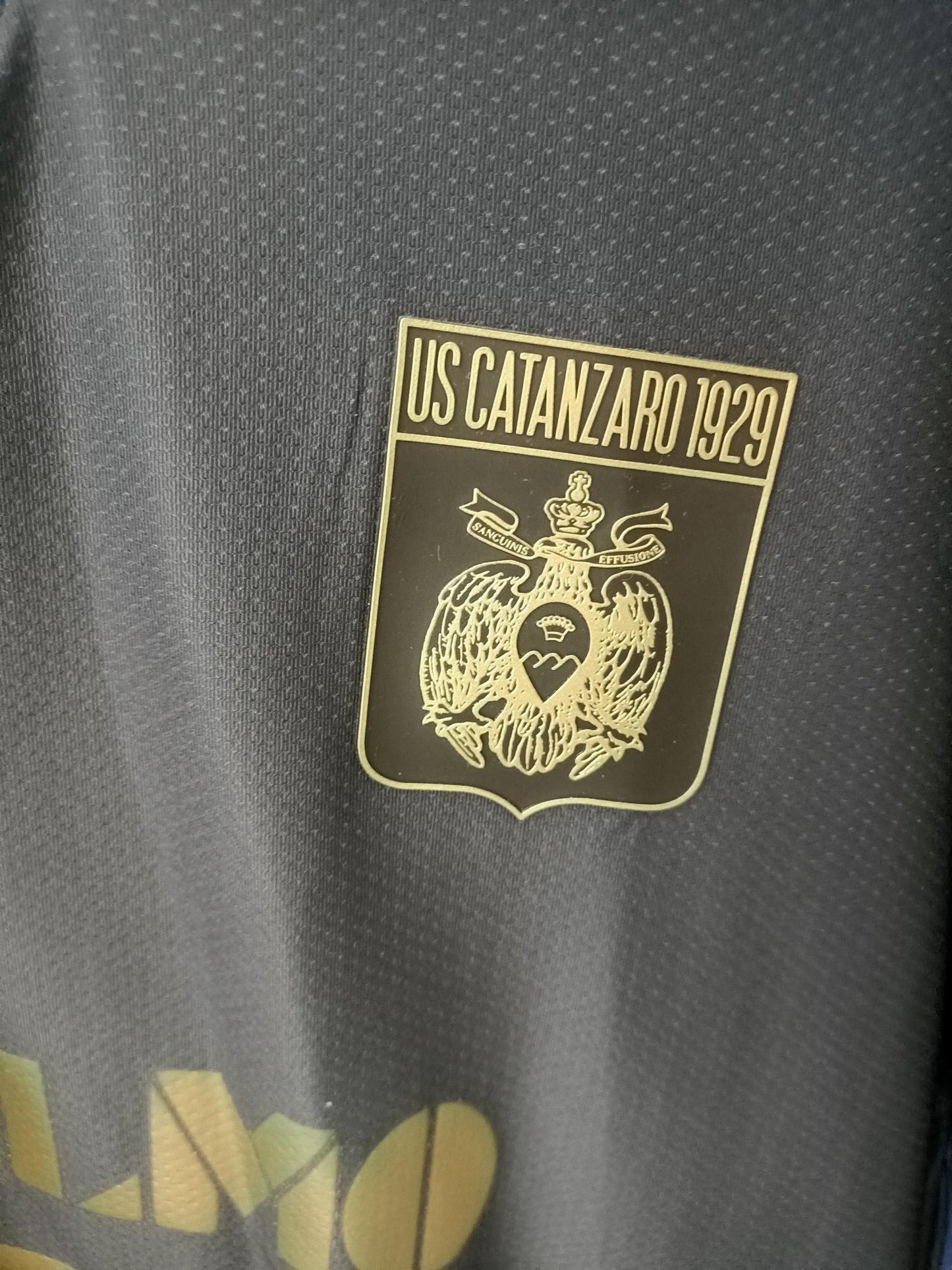 US Catanzaro 2021-2022 Third shirt