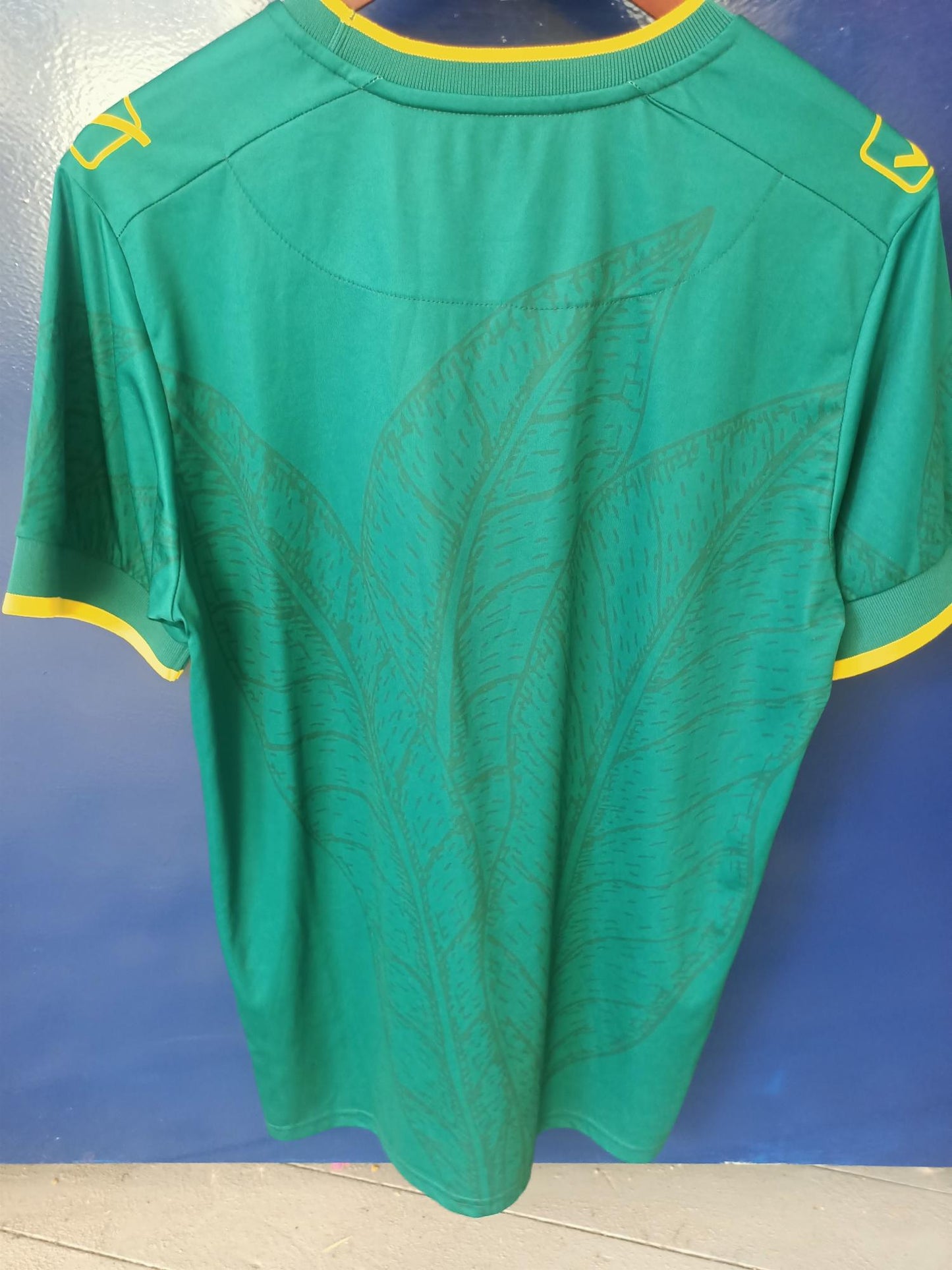 Panetolikos 2024-2025 Third Shirt