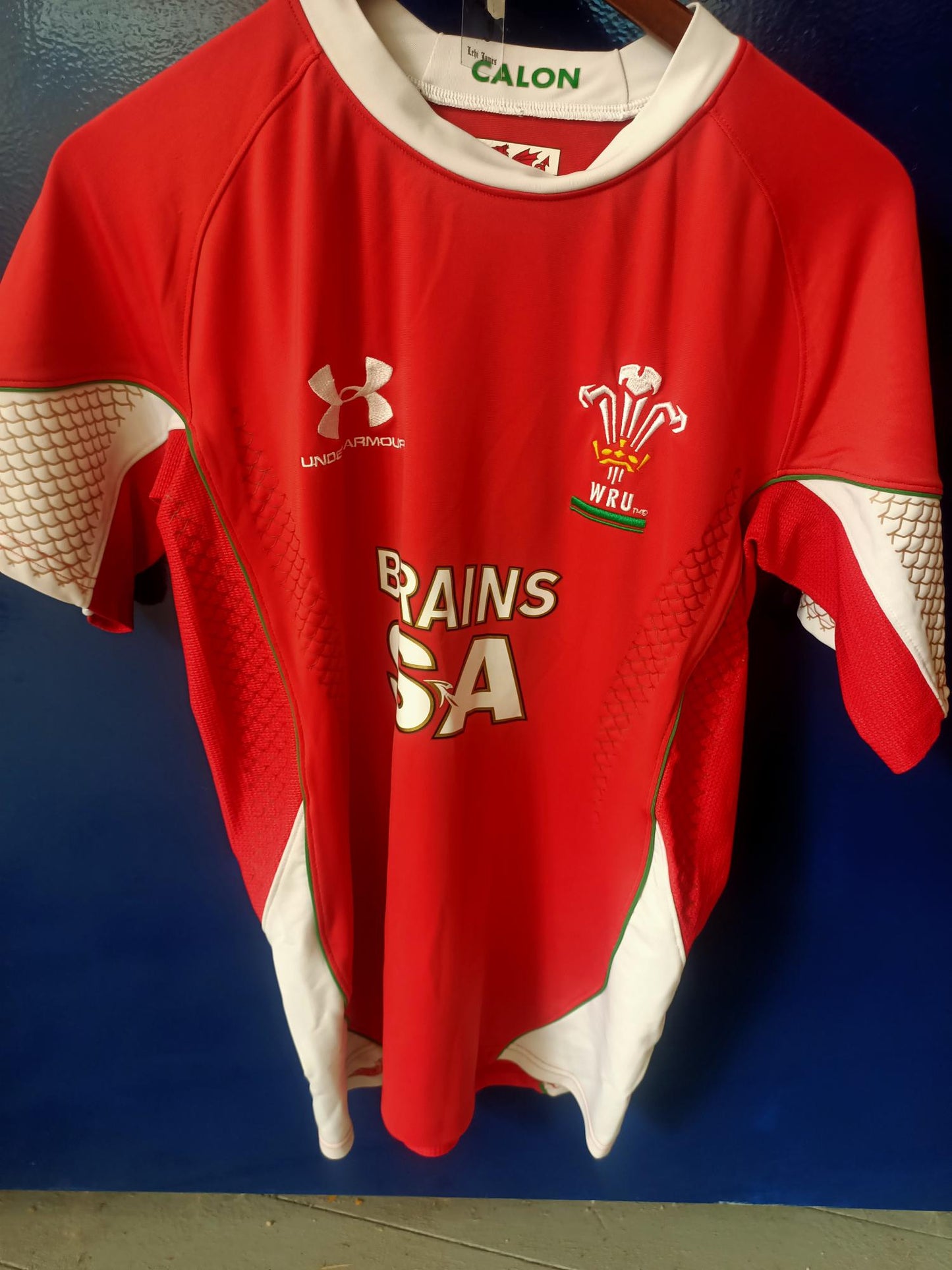 Wales 2008/2009 Home Shirt (Large)