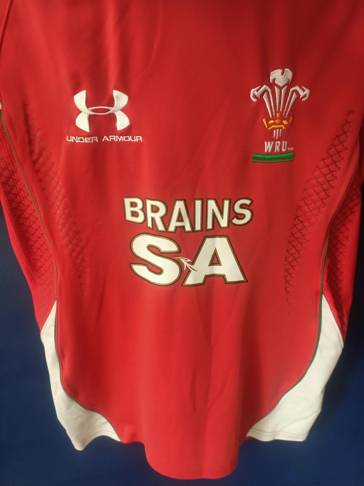 Wales 2008/2009 Home Shirt (Large)